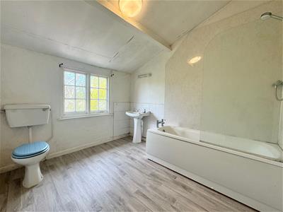 Picture 15